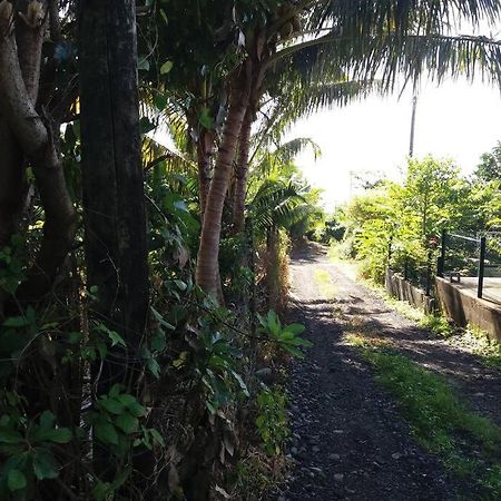 Location Saisonniere Le Clos Des Agrumes Sainte Anne Exterior photo