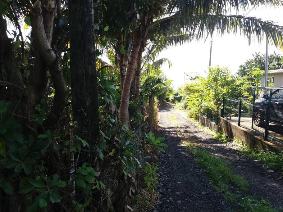 Location Saisonniere Le Clos Des Agrumes Sainte Anne Exterior photo